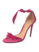 Alexandre Birman Suede Sandals
