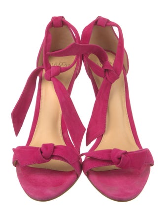 Alexandre Birman Suede Sandals