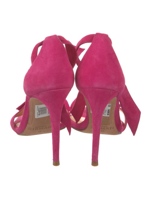 Alexandre Birman Suede Sandals