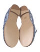 Alexandre Birman Raffia Loafers