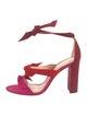 Alexandre Birman Suede T-Strap Pumps