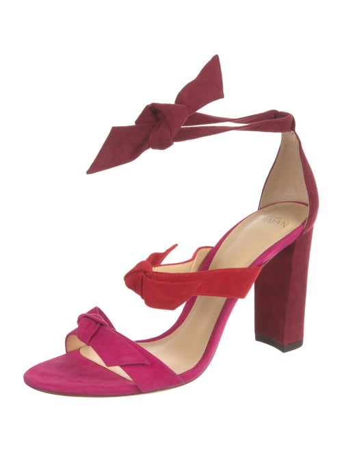 Alexandre Birman Suede T-Strap Pumps