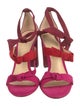 Alexandre Birman Suede T-Strap Pumps