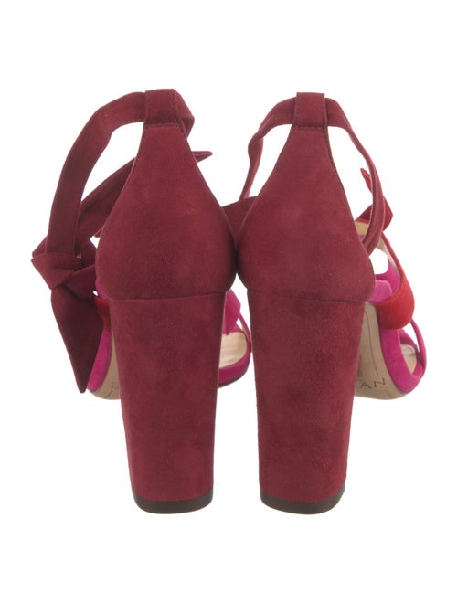 Alexandre Birman Suede T-Strap Pumps