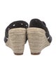 Alexandre Birman Raffia Espadrilles