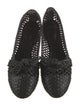 Alexandre Birman Straw Ballet Flats