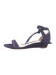 Alexandre Birman Suede Sandals