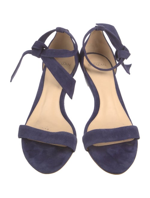 Alexandre Birman Suede Sandals