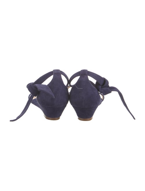 Alexandre Birman Suede Sandals
