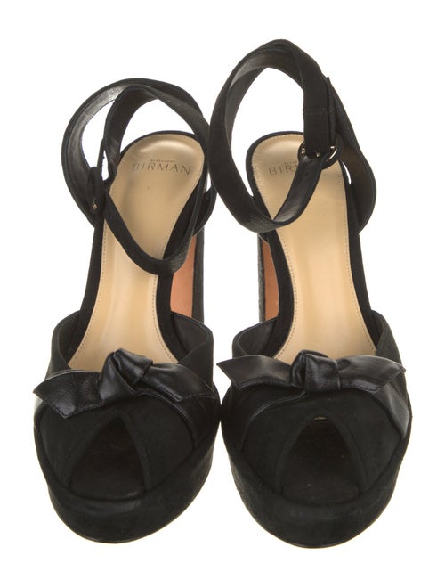 Alexandre Birman Suede Sandals