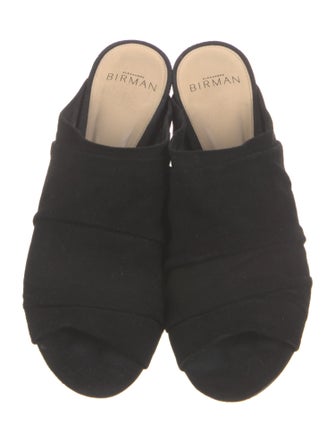 Alexandre Birman Suede Slides