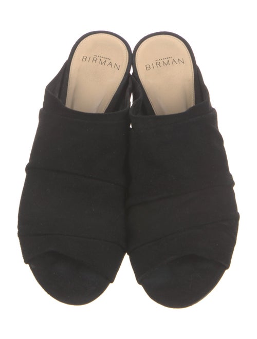Alexandre Birman Suede Slides
