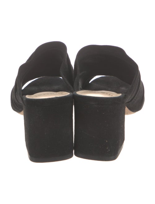 Alexandre Birman Suede Slides