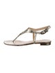 Alexandre Birman Python T-Strap Sandals