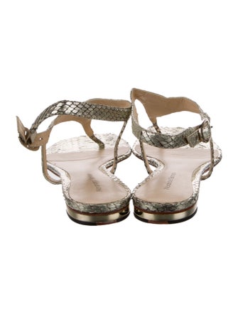 Alexandre Birman Python T-Strap Sandals