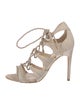 Alexandre Birman Sandals