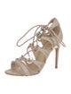 Alexandre Birman Sandals