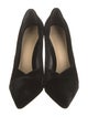 Alexandre Birman Velvet Pumps