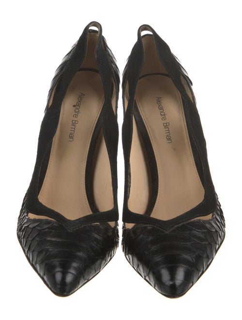 Alexandre Birman Suede Pumps
