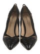Alexandre Birman Suede Pumps