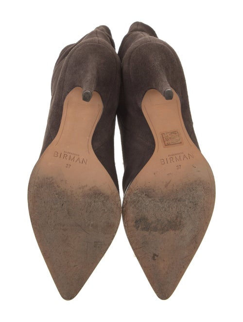 Alexandre Birman Suede Boots