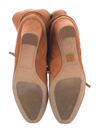 Alexandre Birman Suede Boots