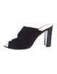 Alexandre Birman Velvet Mules