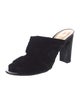 Alexandre Birman Velvet Mules