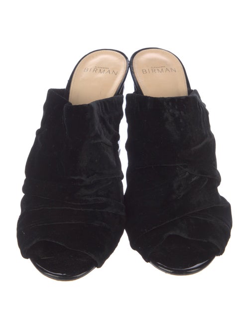 Alexandre Birman Velvet Mules