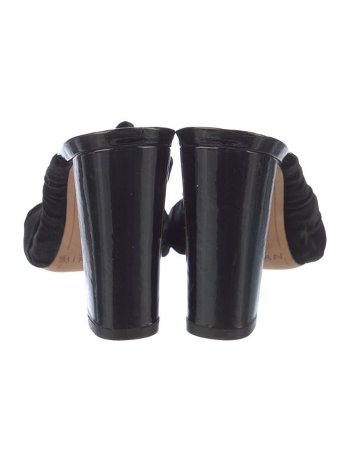 Alexandre Birman Velvet Mules