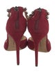 Alexandre Birman Suede D'Orsay Pumps