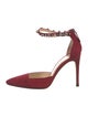 Alexandre Birman Suede D'Orsay Pumps
