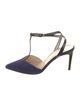 Alexandre Birman Suede T-Strap Pumps