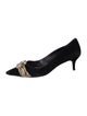Alexandre Birman Suede Pumps