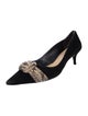 Alexandre Birman Suede Pumps