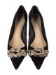 Alexandre Birman Suede Pumps