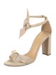 Alexandre Birman Canvas Animal Print Sandals