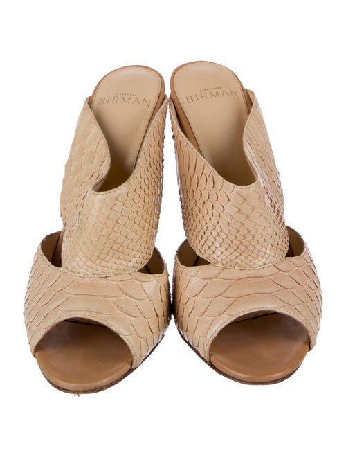 Alexandre Birman Snakeskin Animal Print Mules