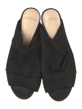 Alexandre Birman Suede Slides