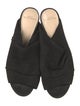 Alexandre Birman Suede Slides