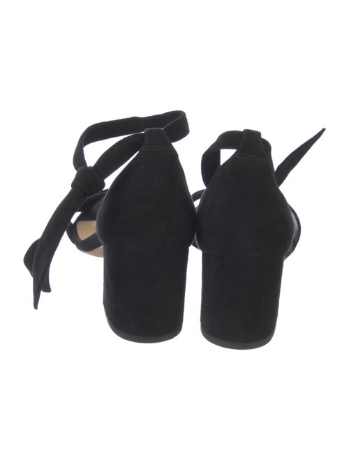 Alexandre Birman Suede Sandals