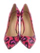 Alexandre Birman Snakeskin Animal Print Pumps