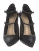 Alexandre Birman Leather Pumps