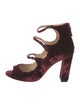 Alexandre Birman Velvet Pumps