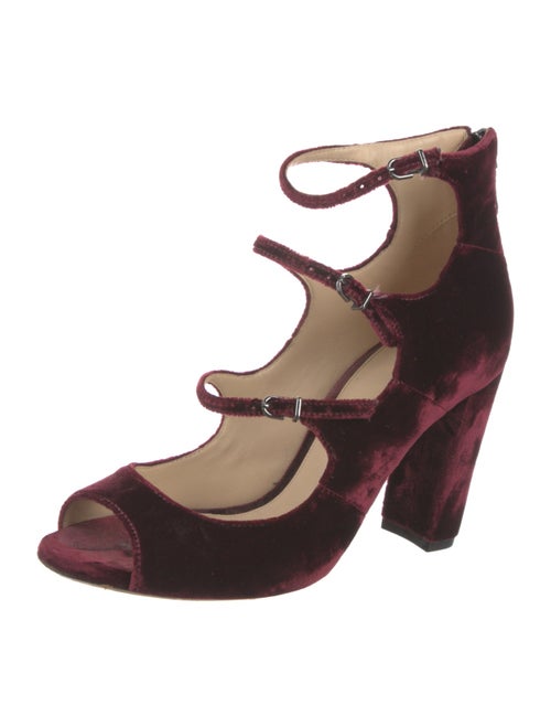 Alexandre Birman Velvet Pumps
