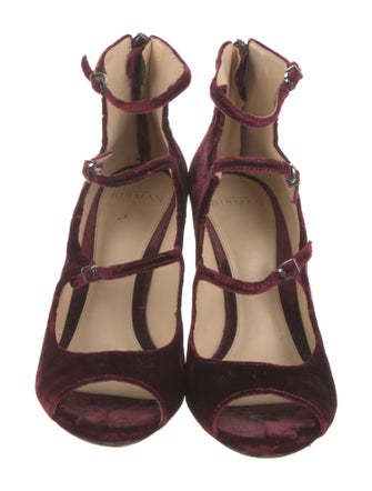 Alexandre Birman Velvet Pumps