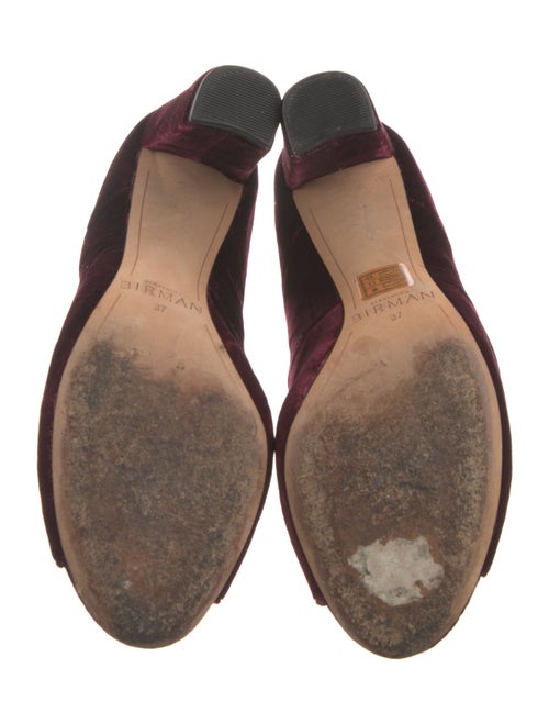 Alexandre Birman Velvet Pumps