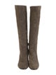 Alexandre Birman Suede Boots