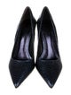 Alexandre Birman Embossed Leather Pumps