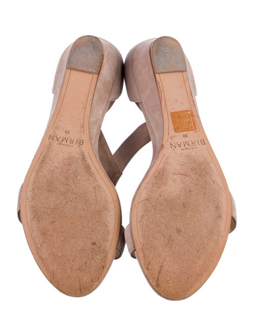 Alexandre Birman Suede Sandals